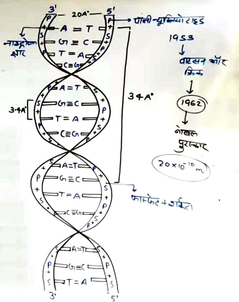 Class 12 Biology UP Board