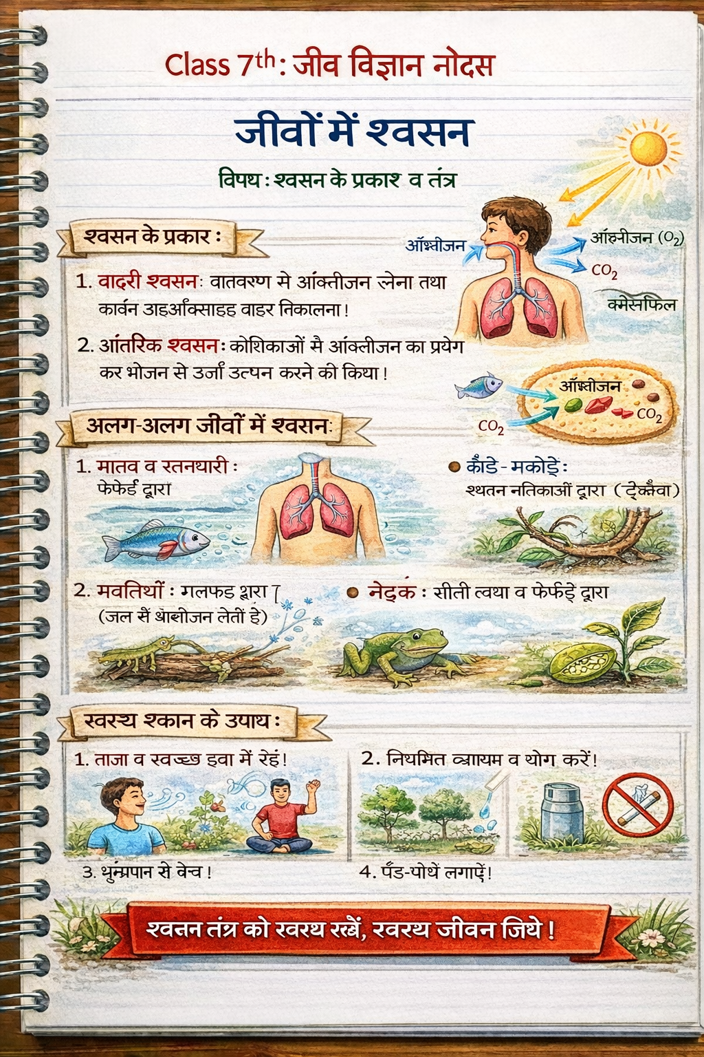 जीवों में श्वसन Class 7th जीव विज्ञान (Biology) Notes in Hindi