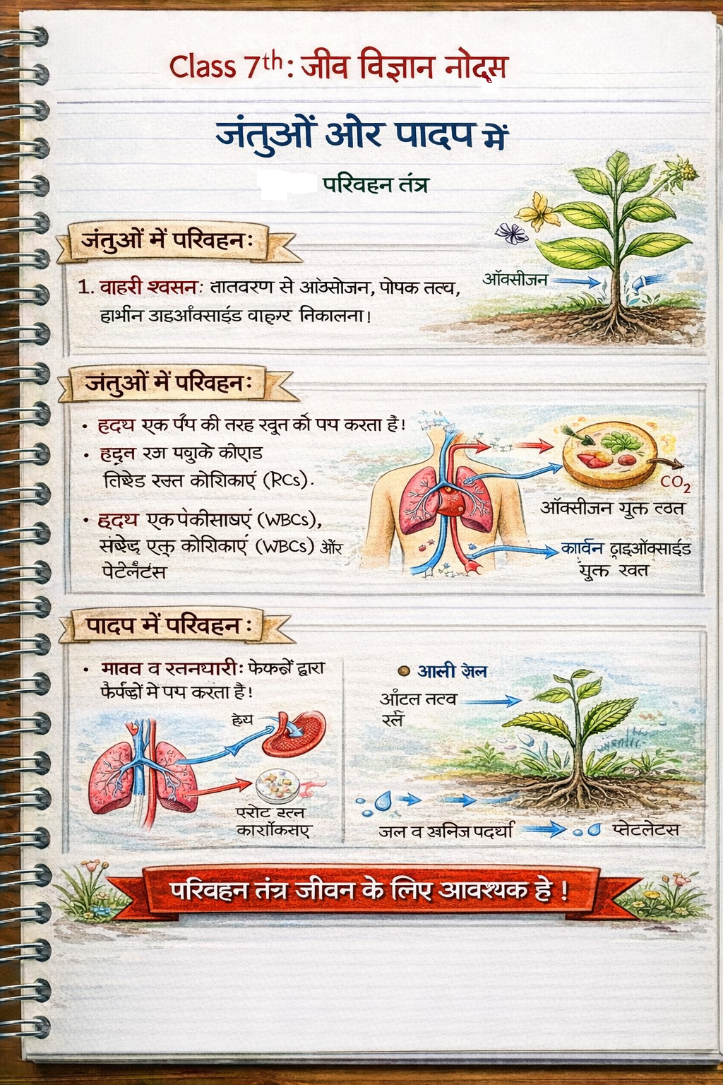 जंतुओं और पादप में परिवहन Class 7th जीव विज्ञान (Biology) Notes in Hindi